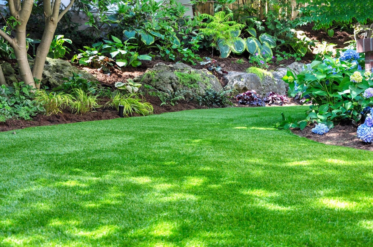 A beautiful woodland backyard garden with a low-maintenance lawn and layered plantings
