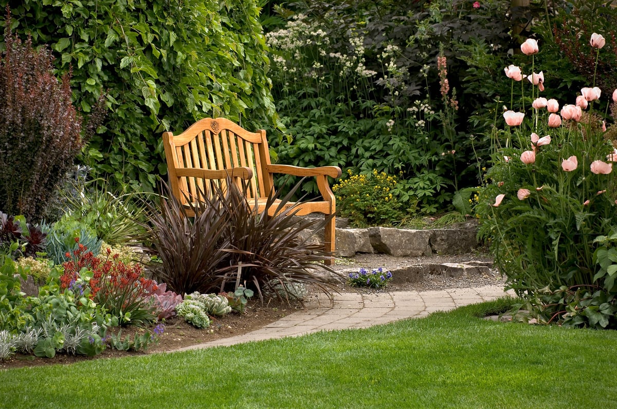 A wooden garden bench in a peaceful landscaped garden