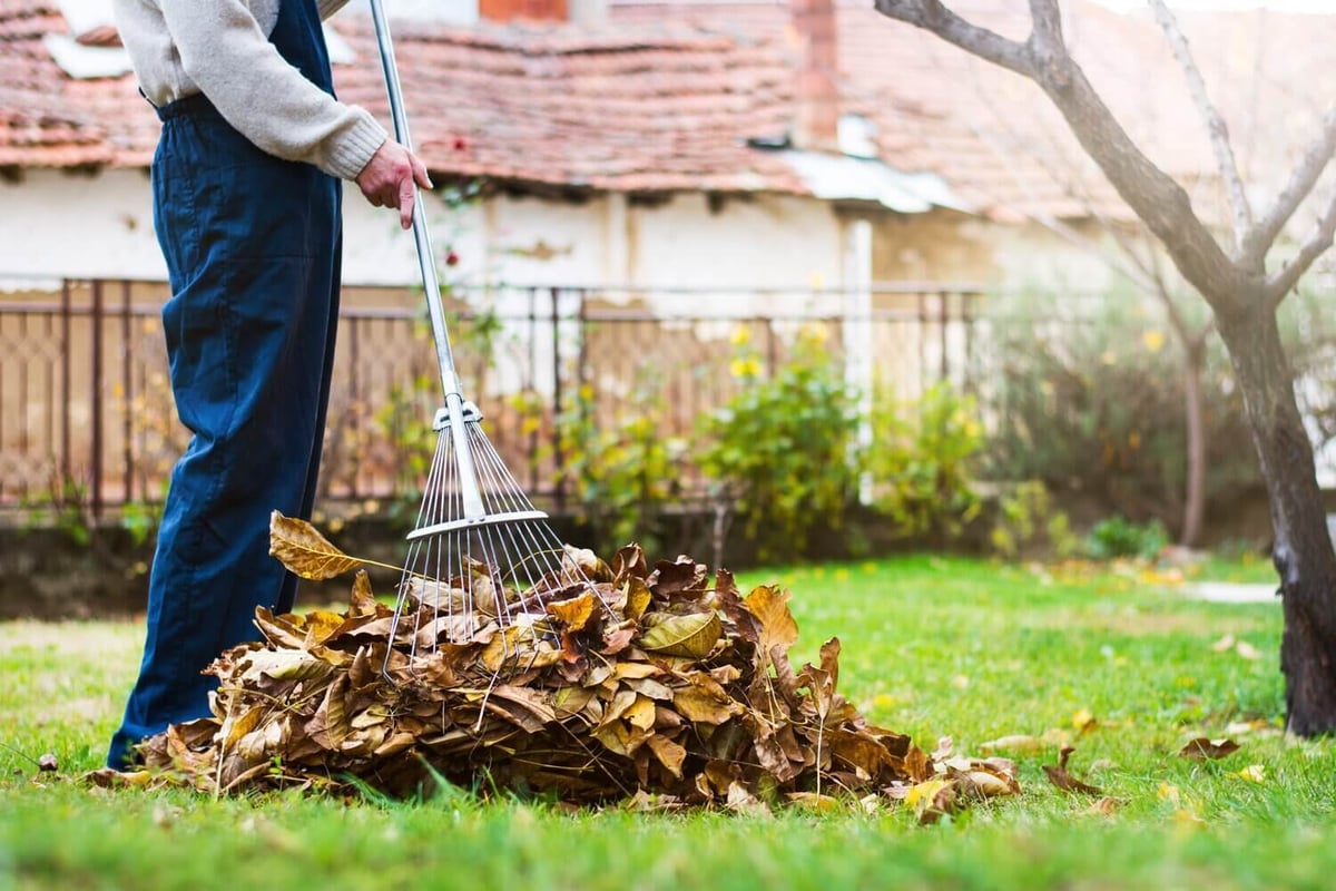 A person raking fallen autumn leaves in a backyard with a house and bare tree in the background