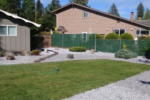 A manicured backyard lawn with gravel pathways and landscaped planting beds beneath evergreen trees
