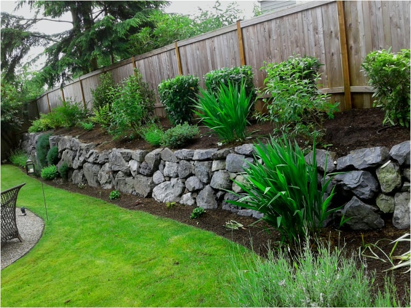 A backyard landscape with a lush green lawn, stone retaining wall, wooden fence and mixed garden plantings