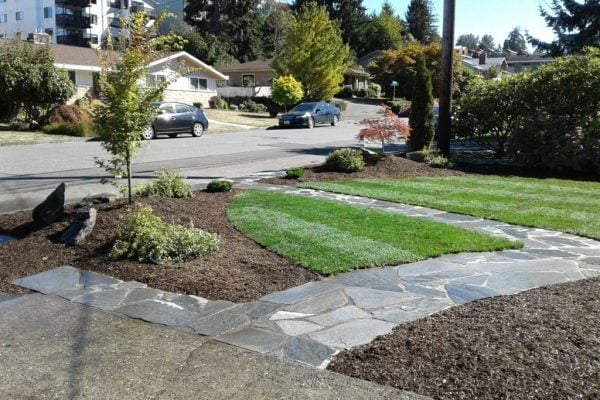 A residential front yard with a newly landscaped garden bed, stone path and young planted tree
